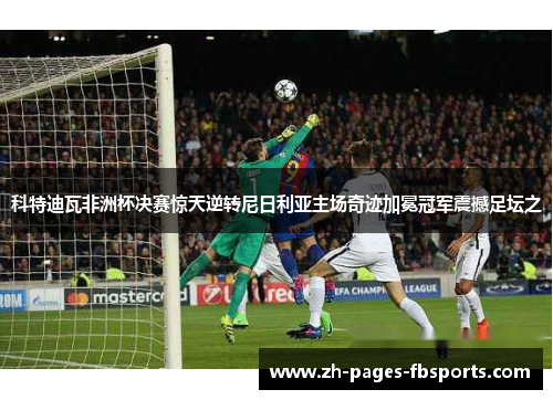 科特迪瓦非洲杯决赛惊天逆转尼日利亚主场奇迹加冕冠军震撼足坛之